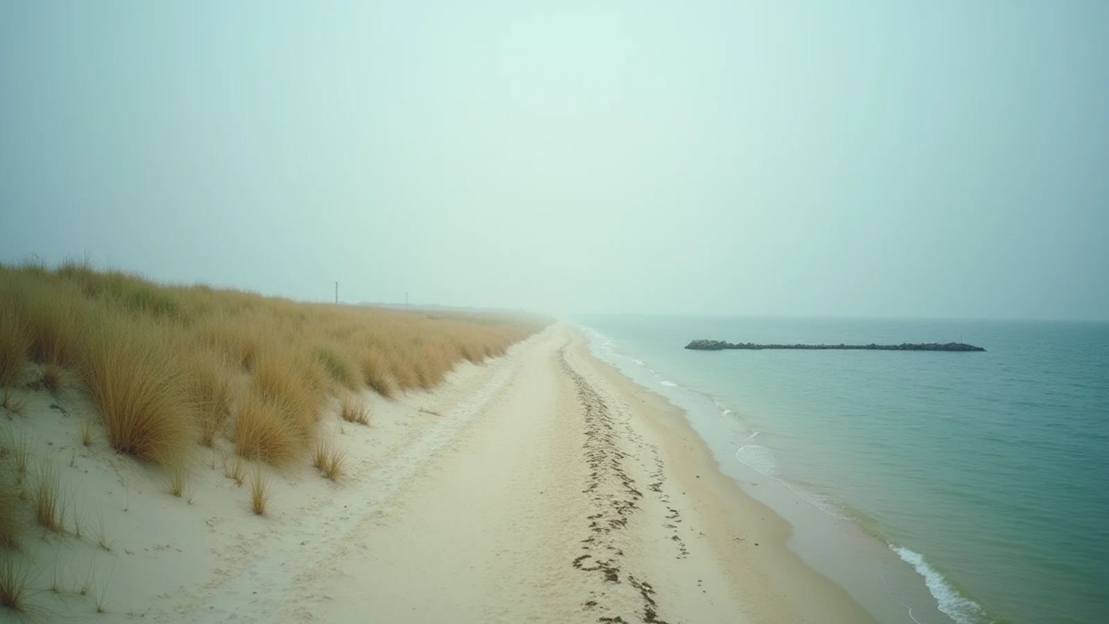 Illinois Beach State Park on the Great Lakes shoreline